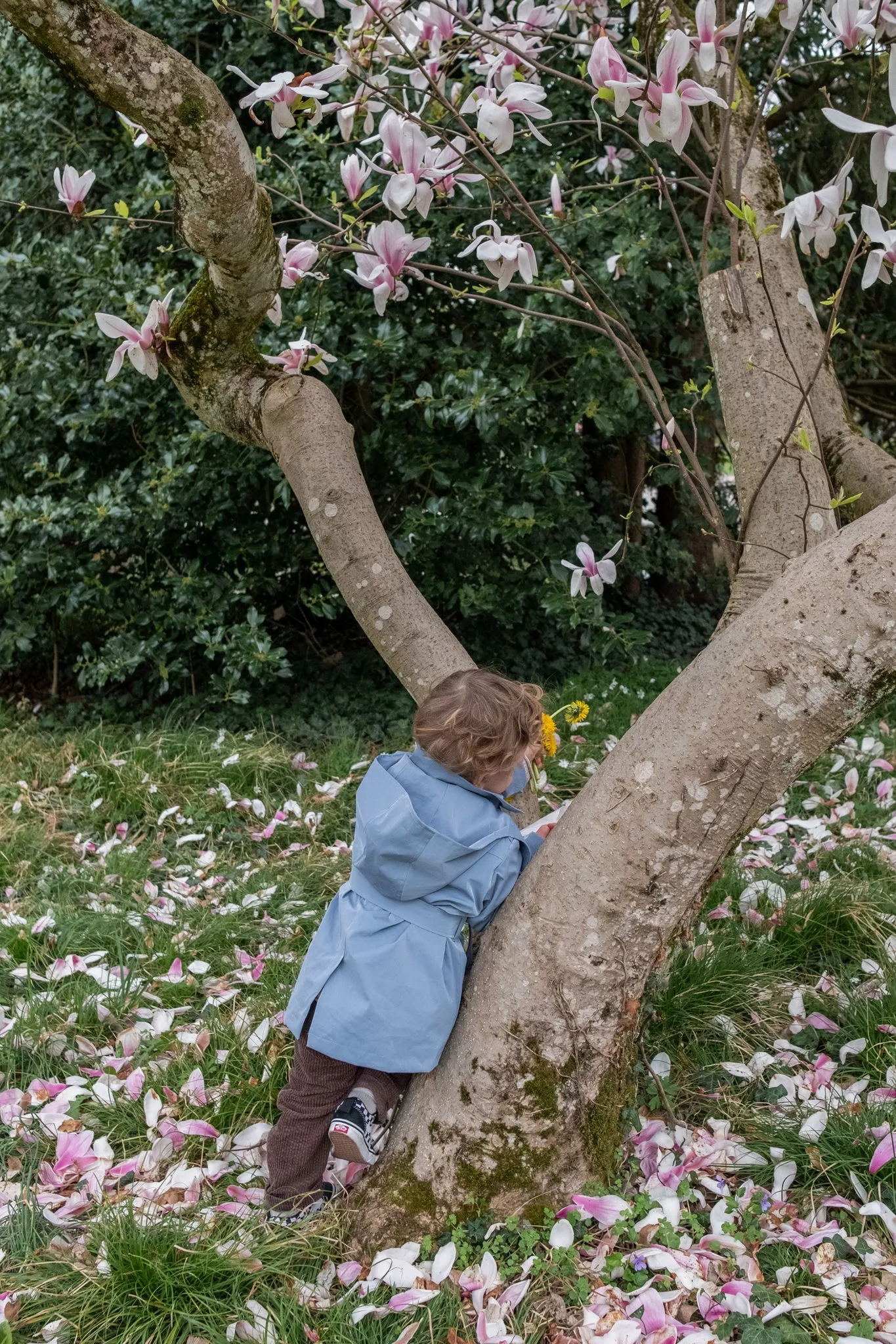 Baby/Kid Trench - Light Blue