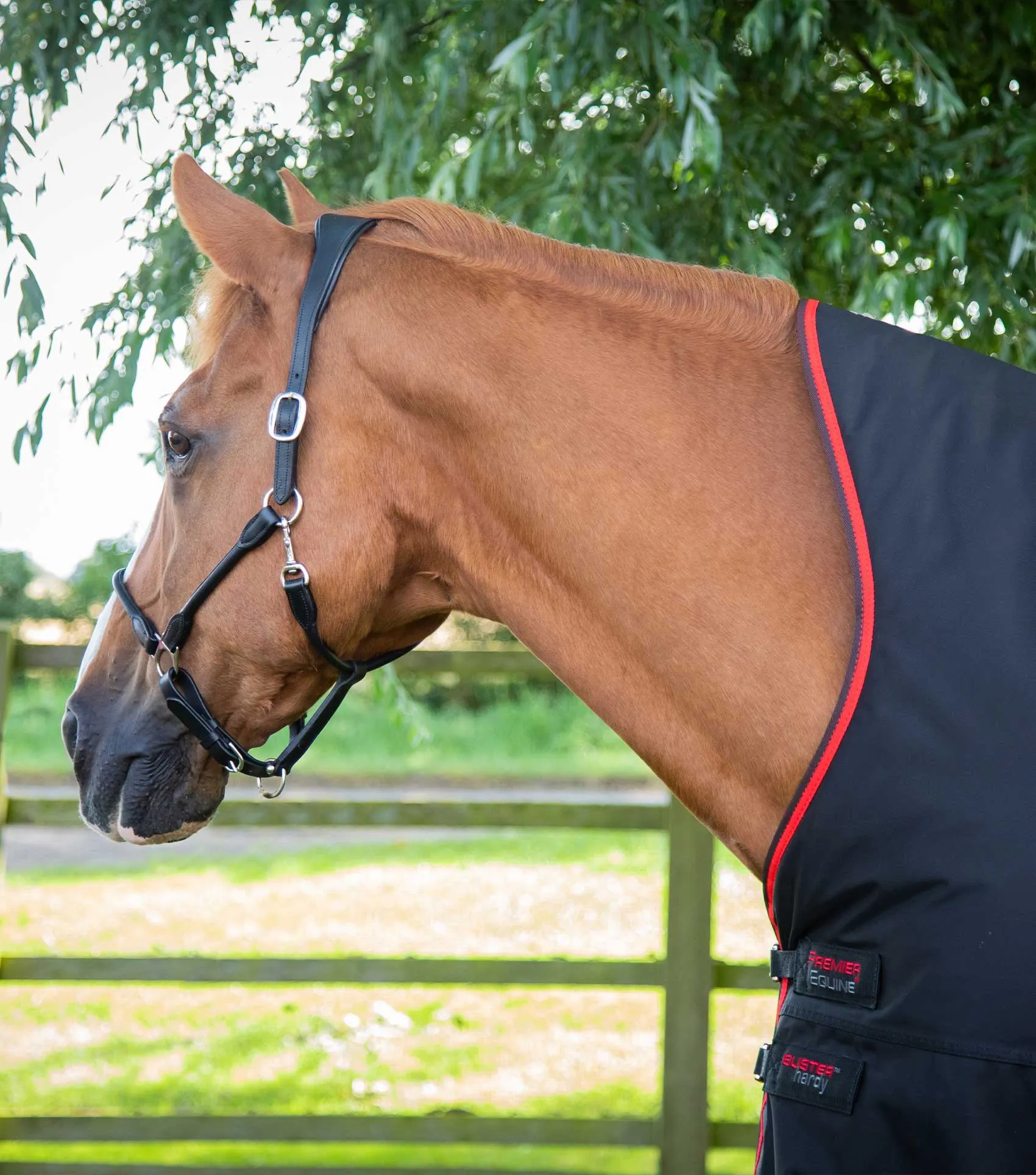 Buster Hardy 400g Half Neck Turnout Rug Black