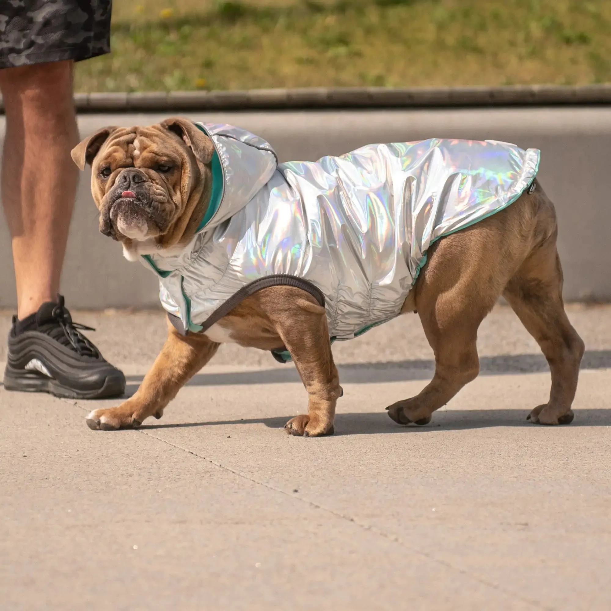 Reversible Dog Raincoat: Neon Aqua / Iridescent Print