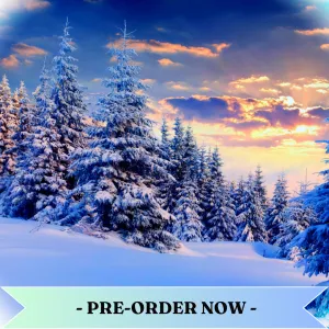 Snowy Splendour Fragrance Oil Pre Order