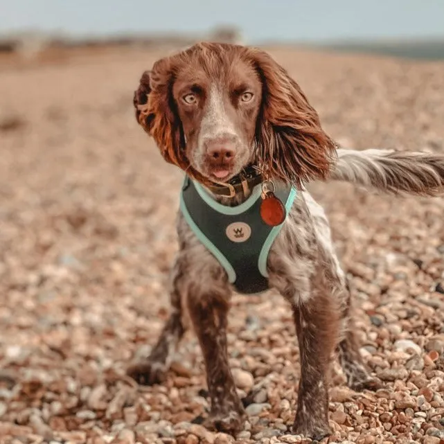 Willow Walks Adjustable Harness in dark green and aqua