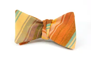 Windell Stripe Butterfly Bow Tie